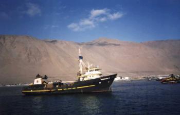 Chilean Purse Seiner