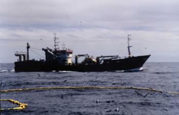 Purse Seining Vessel Chile
