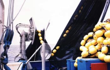 NW 56-SF4(B35) - Peru