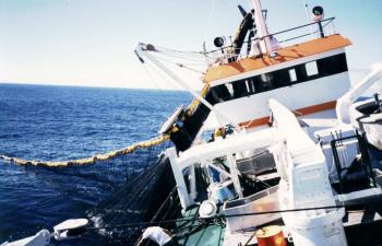 TNW 720-SF4 - "Alimar" - Chile