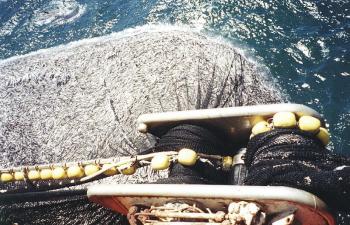 Trident - "Vichuquen"