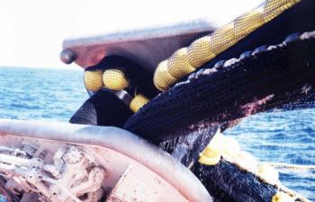 TNW 824-SFB45 - Chile