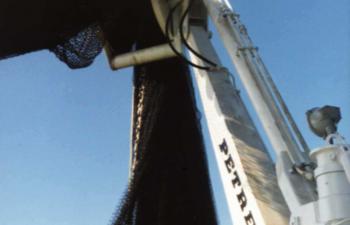 NSX 46-SFB30 - Chile