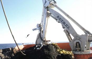 NCS 7L-SFB45 - "Vichuquen" - Chile