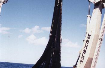 NCS 7L- 50-SF B45 - "Vichuquen" - Chile